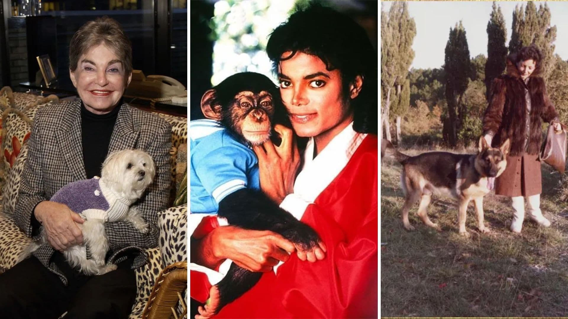 3 Famous Pet Trust Cases and the Lessons We Can Learn from Them