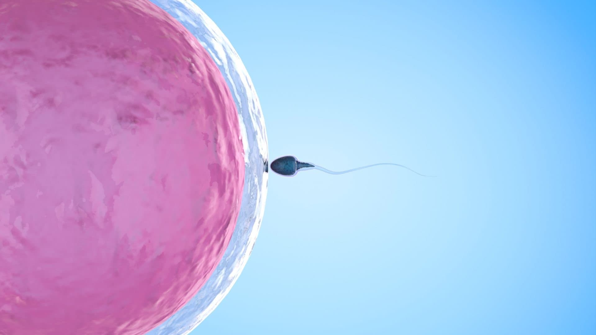Assisted Reproductive Technology and the Real Impact on Estate Planning